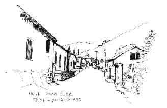 Calle Pisco Elqui - Prat Ruta D-485